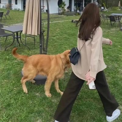 哈啦大发师2海报